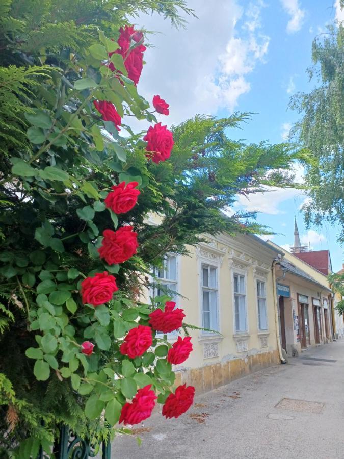 Blues Ryokan Кесег Екстер'єр фото